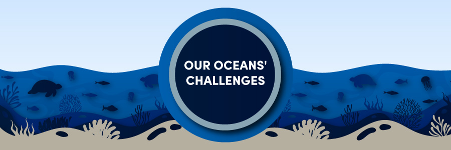 The challenges facing our seas and oceans