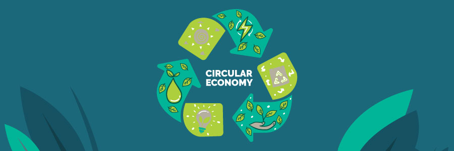 The circular economy and its challenges in Europe